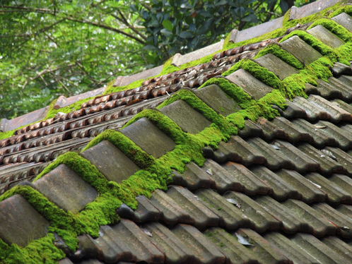 Démoussage de toiture à Mouais